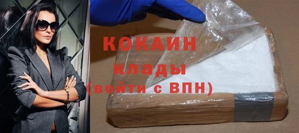 стафф Арсеньев