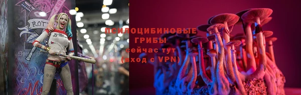 стафф Арсеньев