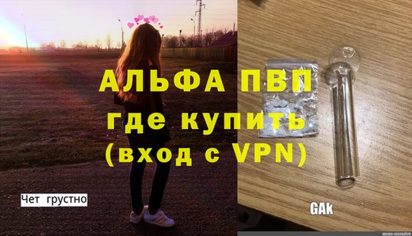 стафф Арсеньев