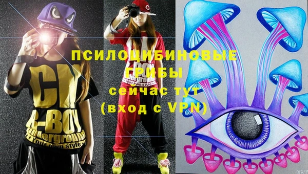 стафф Арсеньев