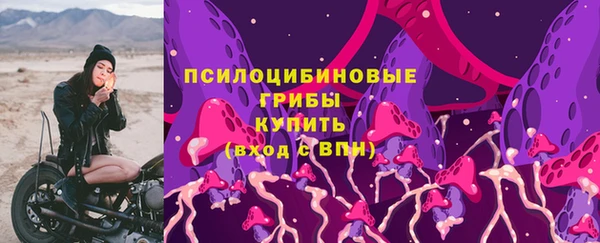 ECSTASY Аркадак