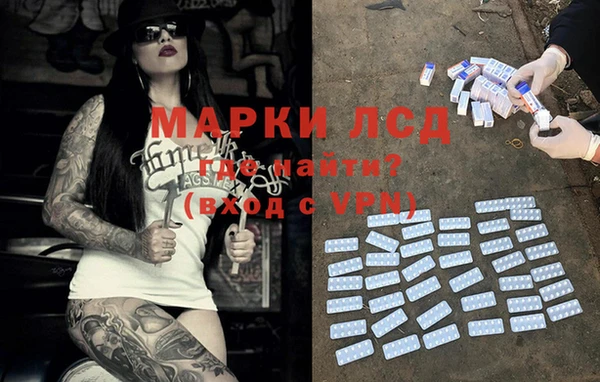 стафф Арсеньев