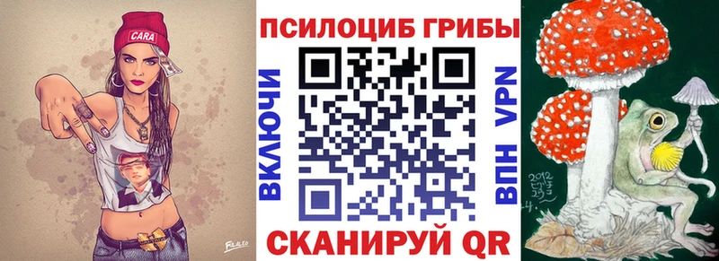 Галлюциногенные грибы Cubensis  Можга 